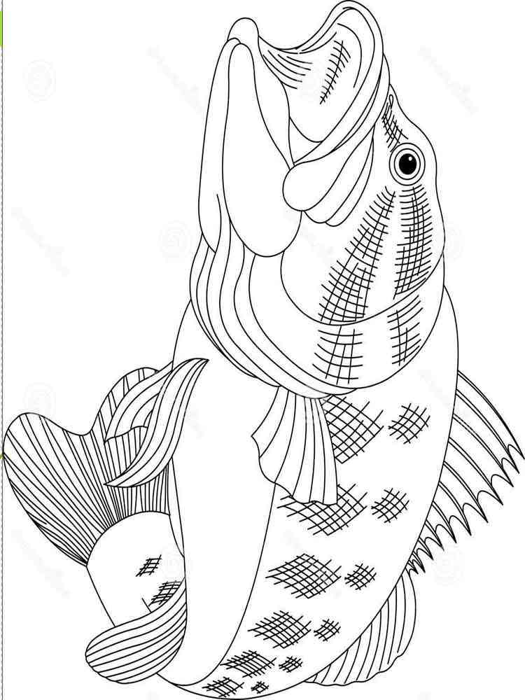 Download 32+ Bass Coloring Pages PNG PDF File